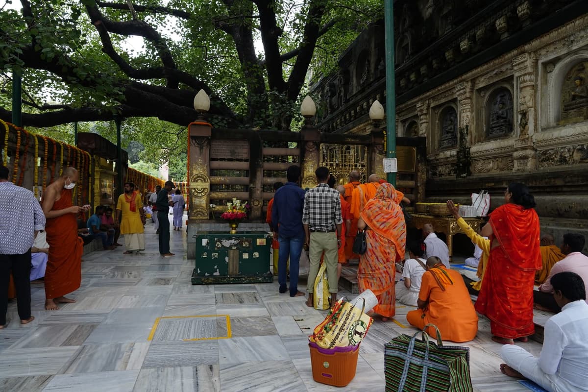 The Bodhi Tree & Mahabodhi Temple, Bodh Gaya: A Visitor's Guide