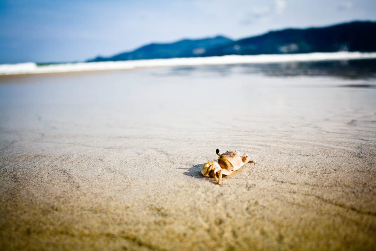 Phuket